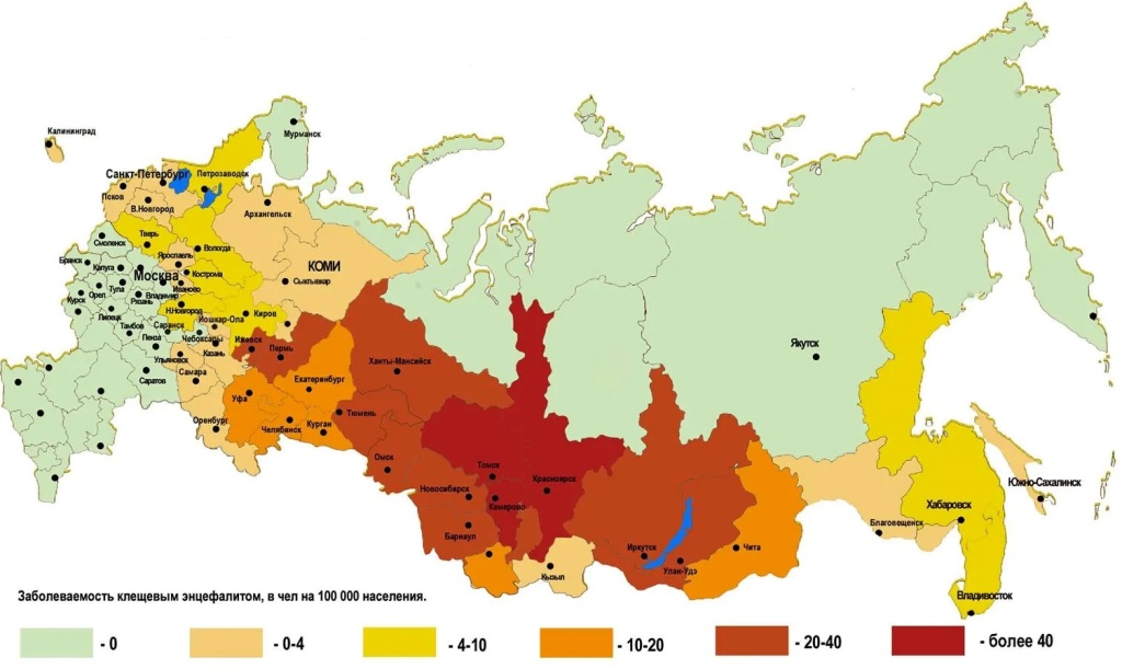 Территории в РФ эндемичные по клещевому энцефалиту.jpg